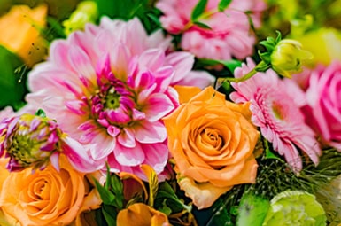 Flower Picture